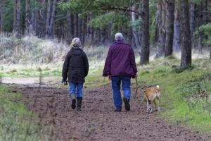 The secret to a healthier lifestyle? Your dog, says recent study