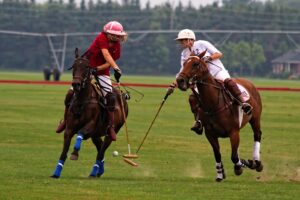 Kunzang inaugurates 3rd Edition of LG Horse Polo Cup